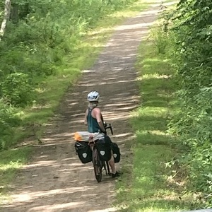 Fundraising Page: Lili Allen